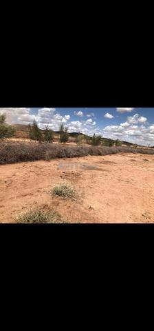 Terrain à vendre près de Marrakech avec vue sur l'Atlas - 2