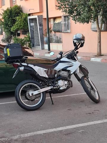 Honda Tornado XR 250cc—2014 - 2