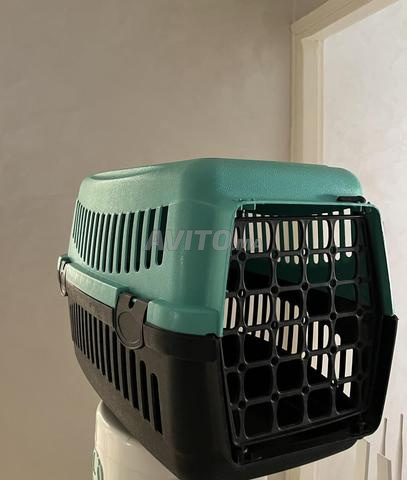 Cage pour chat - 2