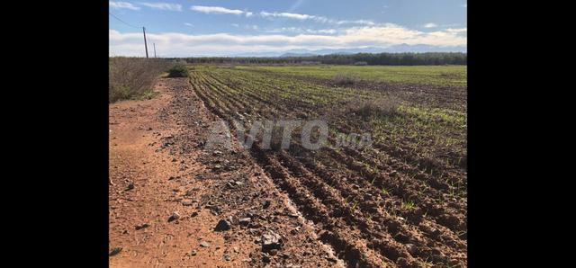 ✨ Terrain de 2.14 hectares avec vue sur l'Atlas près de Marrakech ✨ - 2