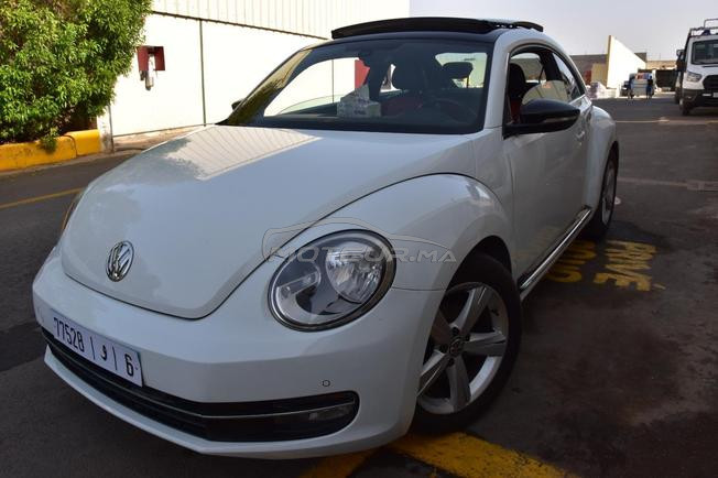 magnifique coccinelle à vendre