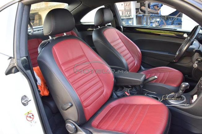 magnifique coccinelle à vendre