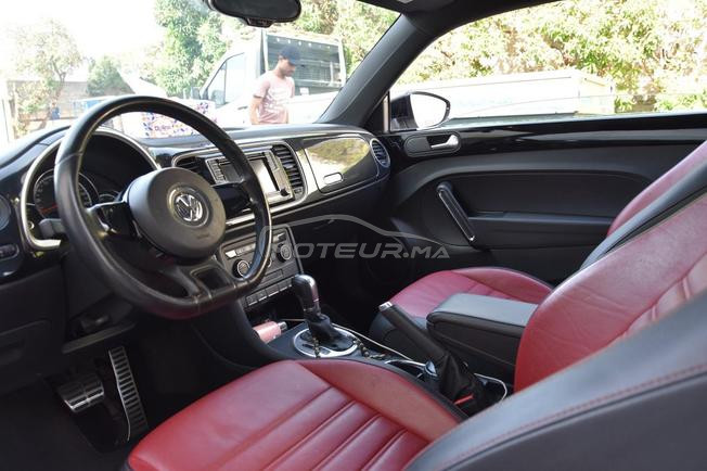 magnifique coccinelle à vendre