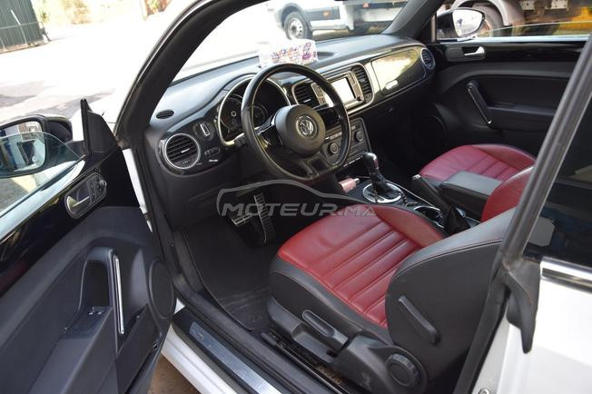 magnifique coccinelle à vendre