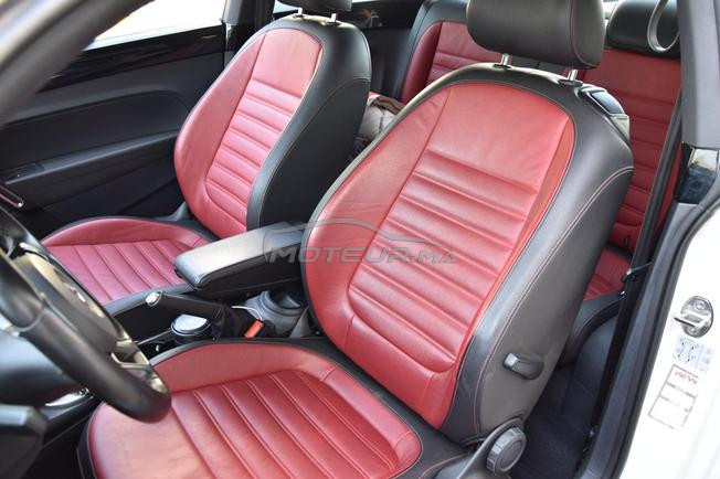 magnifique coccinelle à vendre