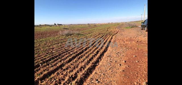 Terrain à vendre près de Marrakech avec vue sur l'Atlas - 2