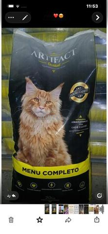 Vends alimentation chat 20kg qualité premium - 2