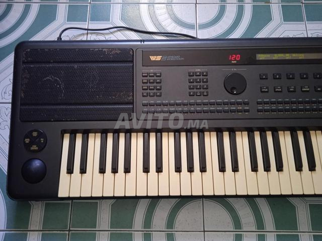 GEM WS2 instrument de musique occidental - 2
