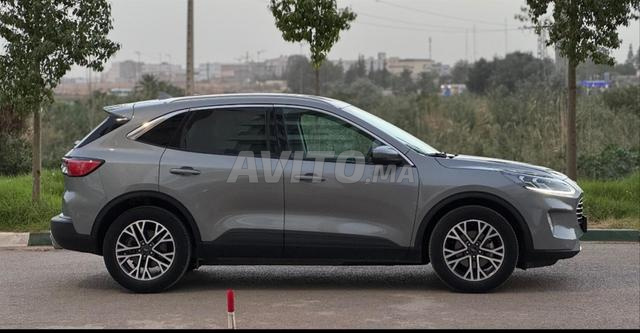 كوجا، أول مالك، حالة ممتازة - 2
