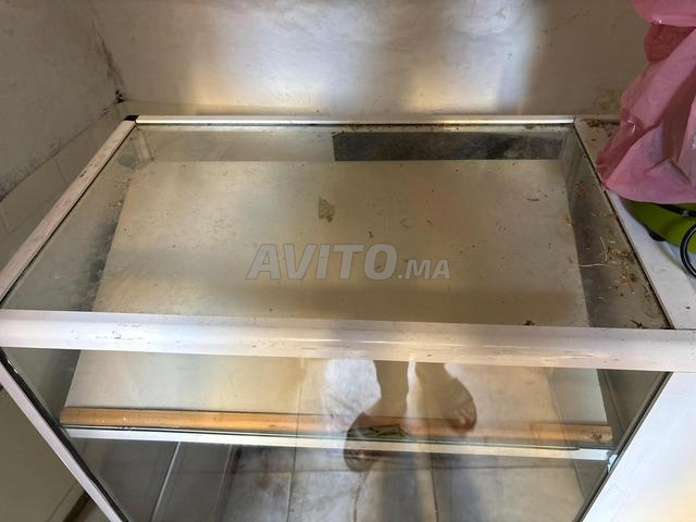 Vitrine à vendre, bienvenue à ceux qui sont intéressés - 2
