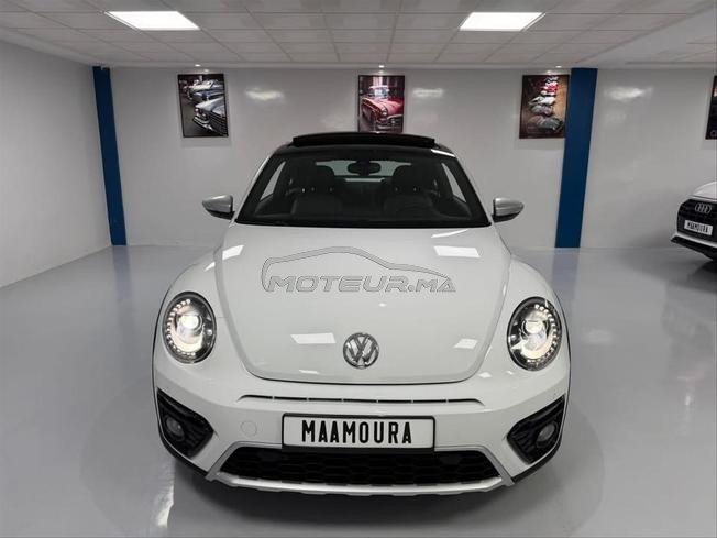 volkswagne coccinelle