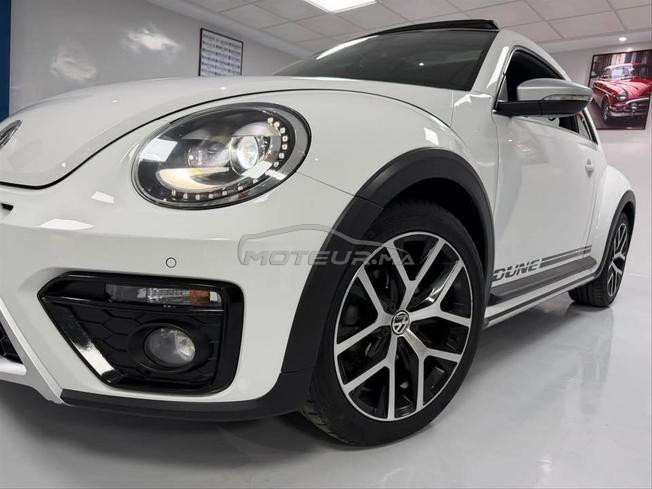 volkswagne coccinelle