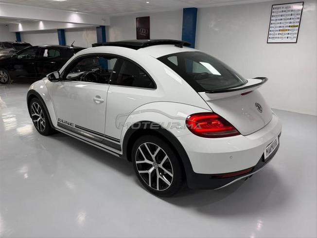 volkswagne coccinelle