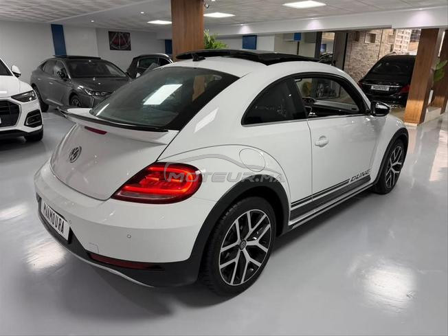 volkswagne coccinelle