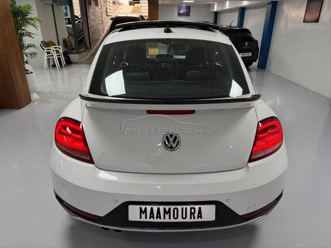 volkswagne coccinelle