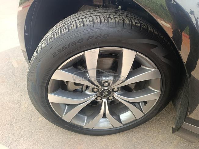 Ronger bébé évoque dynamic plus 89000km 2024