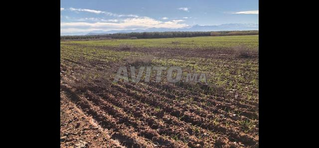 Terre exceptionnelle 10 700 m² avec vue sur l'Atlas près de Marrakech - 2