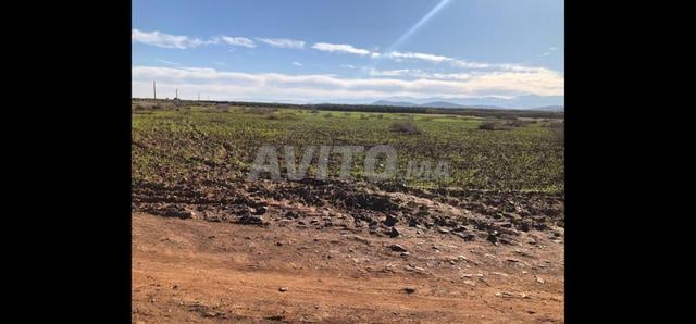 Terre exceptionnelle 10 700 m² avec vue sur l'Atlas près de Marrakech