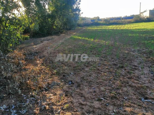 Terrains & fermes titrés à vendre — Bir Jdid - 2