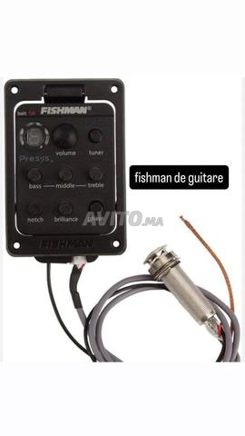 Fishman Pastilla