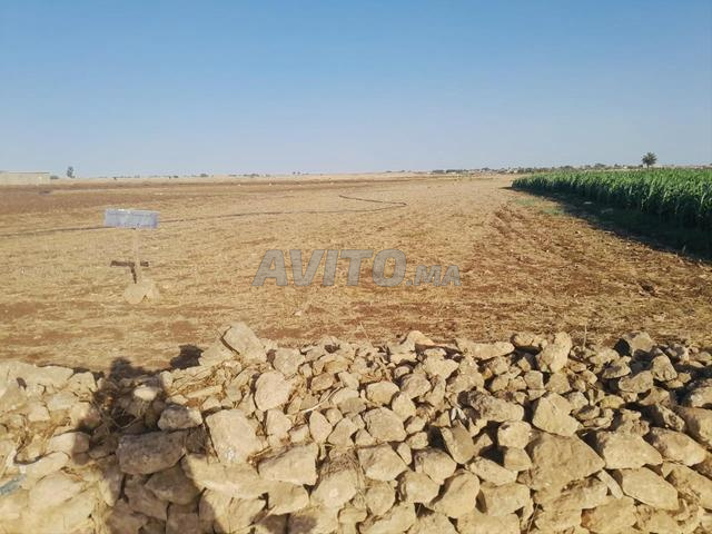 Terrain agricole à vendre – superficie 3241 m² - 2