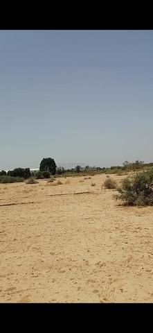 4 hectares 37km Taroudant - 2
