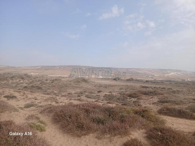 عنوان بجانب مير - 2