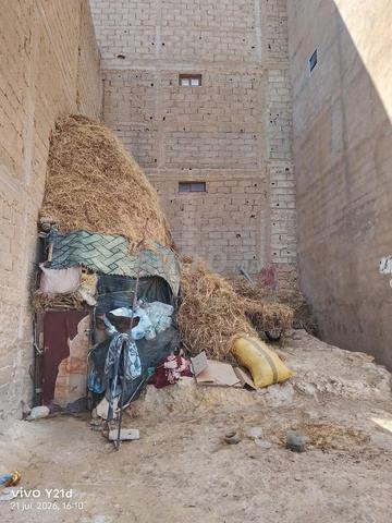 فيلاج طيبي