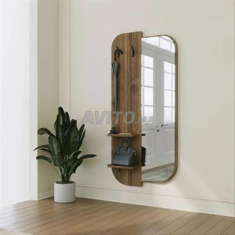 Miroir d'entrée