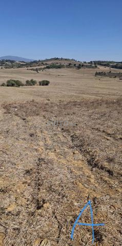 Terrain Had El Gharbia - 2