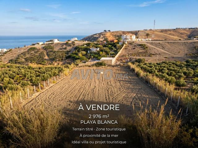 terrain a vendre titré / ارض للبيع محفظة  - 2