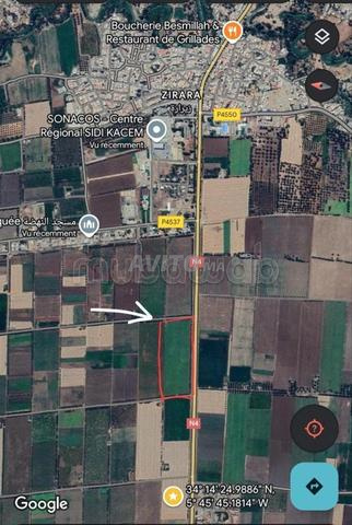 🌿 À VENDRE – Terrain agricole à Sidi Kacem