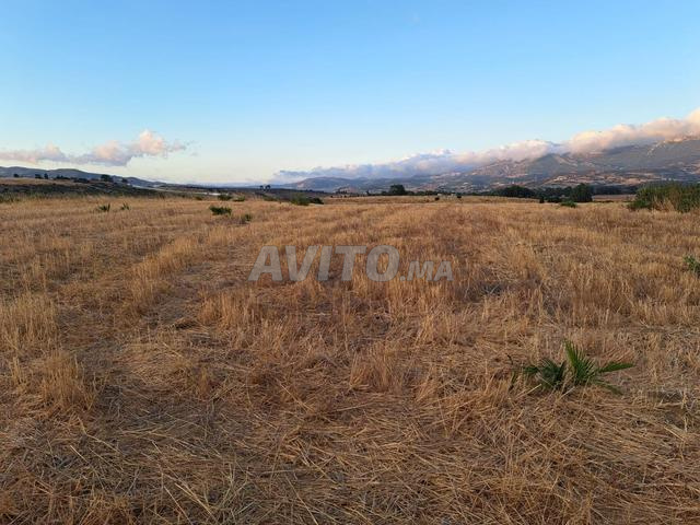 Terrain titré à vendre - 2