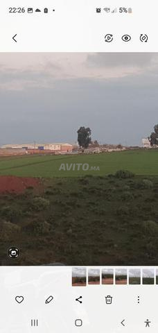 Terrain agricole Ain Atiq 3 hectares - 2