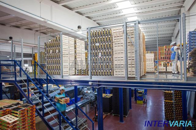 PLATEFORME DE STOCKAGE À VENDRE - 2
