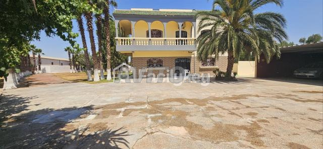 Ferme de 10332 m² à Berrechid