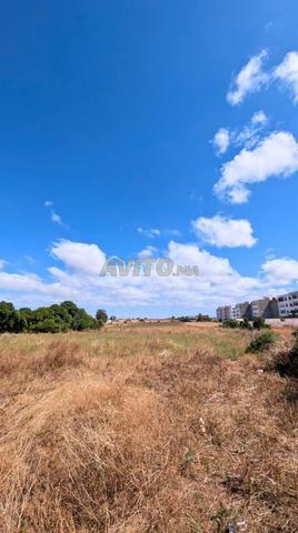 Terrain de 11260 m² à Dar Bouazza - 2
