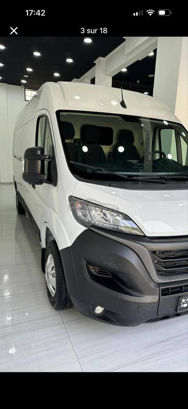 Fiat Ducato 3 panneaux 
