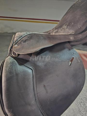 Selle mixte-obstacle (CSO) - 2