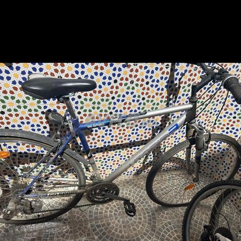 Vélos adultes
