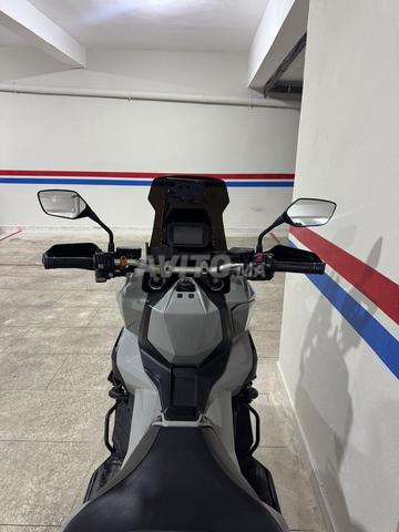 Xadv 2021 ديوانة 2022 - 2