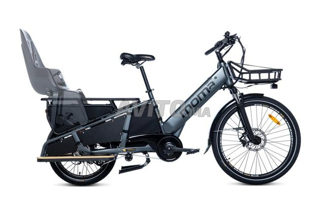 Vélo électrique type Cargo - 2