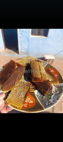 عسل طبيعي جودة ممتازة - 2