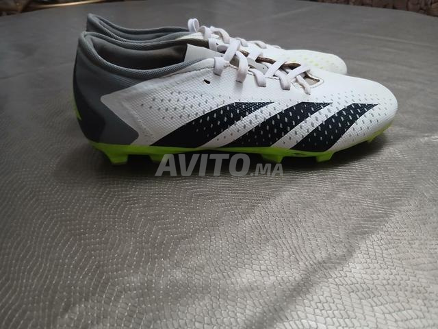 Godas Predator - 2