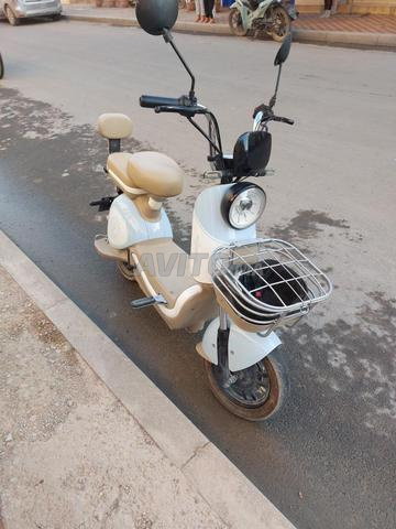 Motos électriques Camel Smart Drive - 2