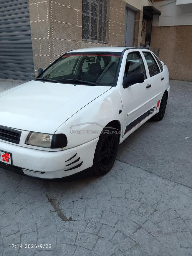 golf polo  
