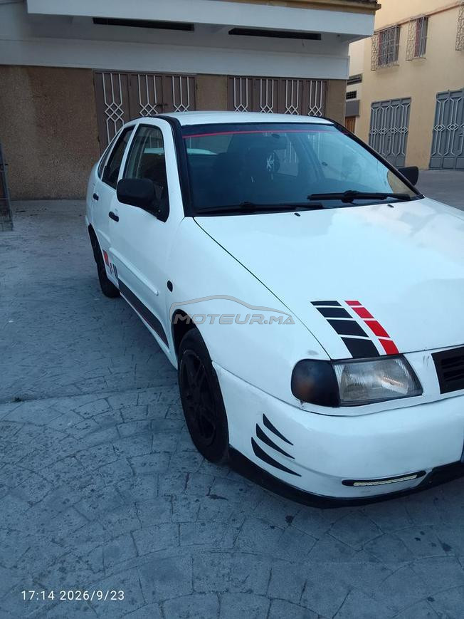 golf polo  