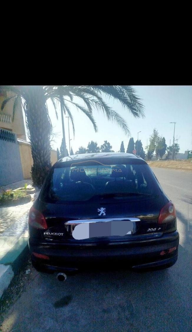 بيجو 206  ايصانص للبيع