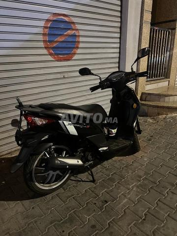 Symphonie S 49cc - 2