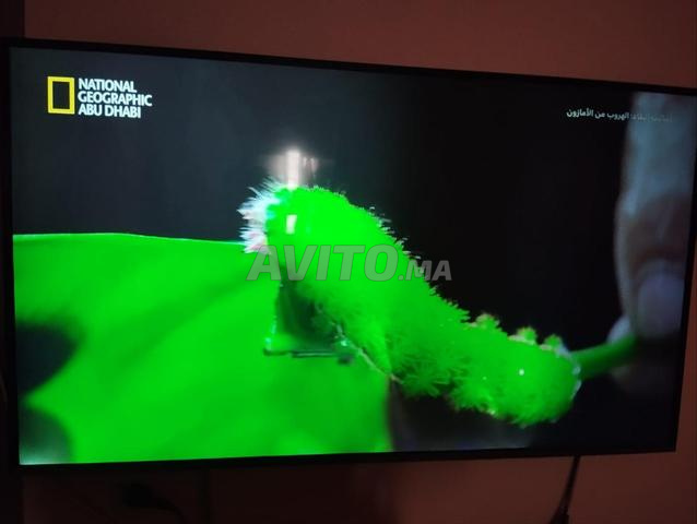 TV Samsung Smart - 2